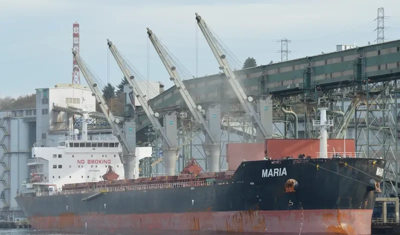 XIN HAI TONG 17 Bulk Carrier IMO 9519016 photo 5
