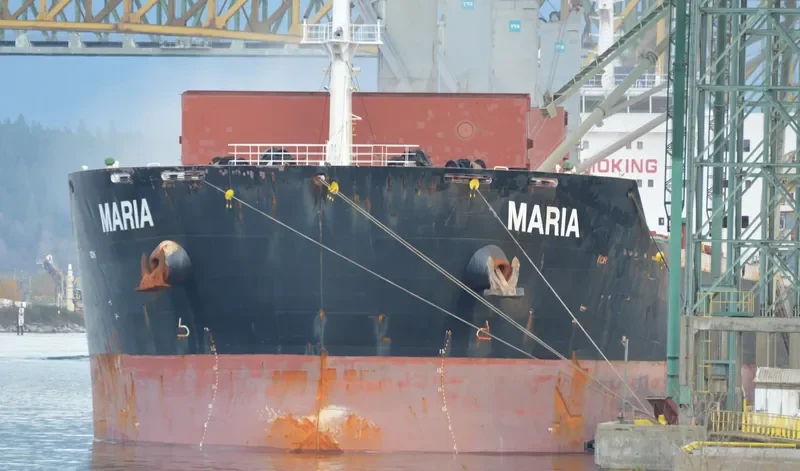 XIN HAI TONG 17 Bulk Carrier IMO 9519016 photo 6