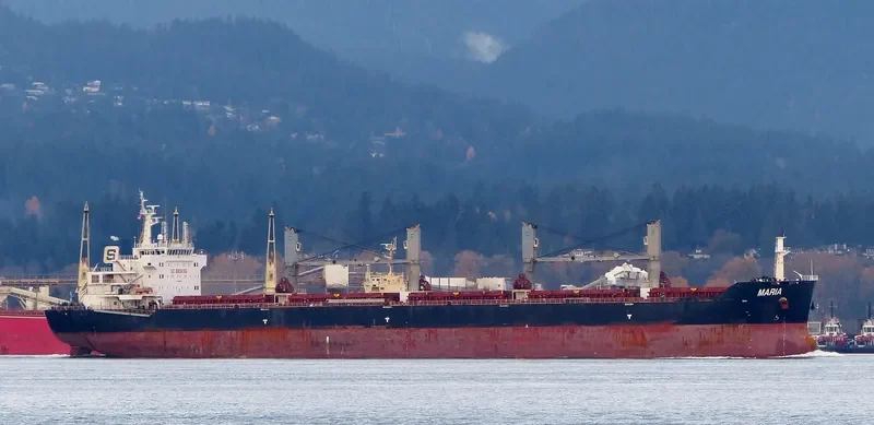 XIN HAI TONG 17 Bulk Carrier IMO 9519016 photo 7