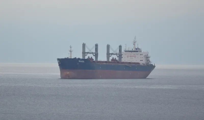 XIN HAI TONG 17 Bulk Carrier IMO 9519016 photo 8
