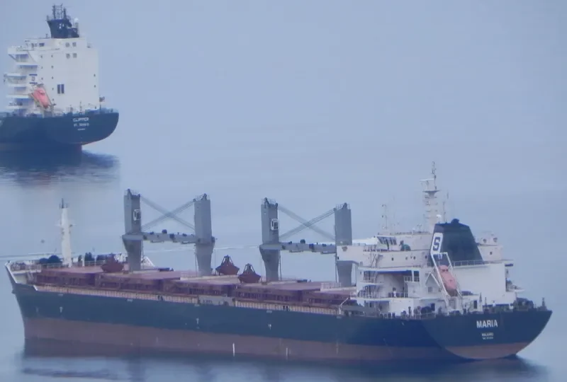 XIN HAI TONG 17 Bulk Carrier IMO 9519016 photo 9