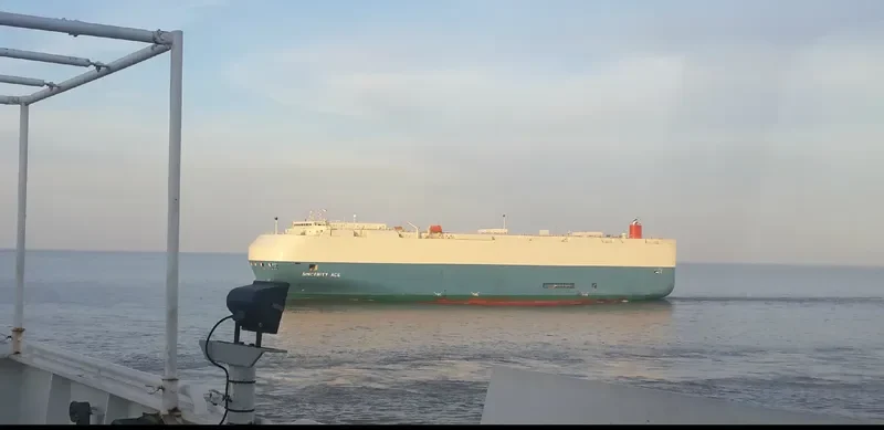 SINCERITY ACE General Cargo IMO 9519092