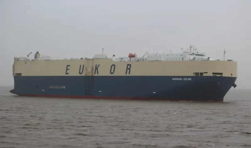 MORNING CELINE General Cargo IMO 9519133 photo 3