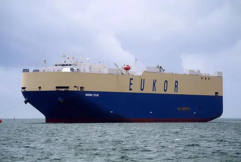 MORNING CELINE General Cargo IMO 9519133 photo 4