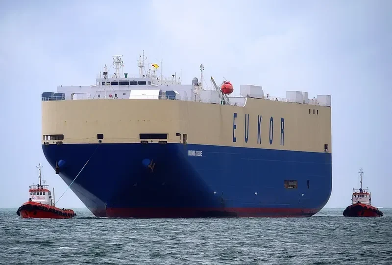 MORNING CELINE General Cargo IMO 9519133 photo 5