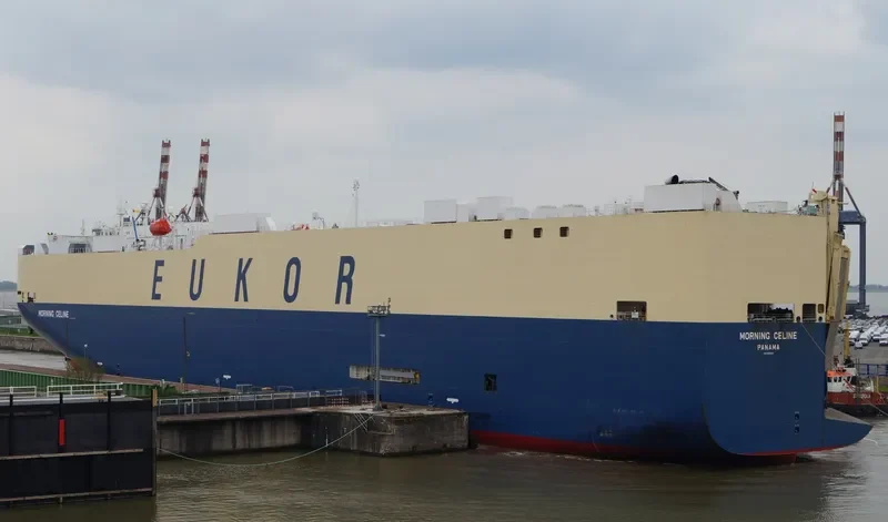MORNING CELINE General Cargo IMO 9519133 photo 6