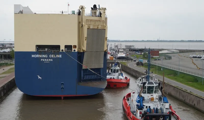 MORNING CELINE General Cargo IMO 9519133 photo 7