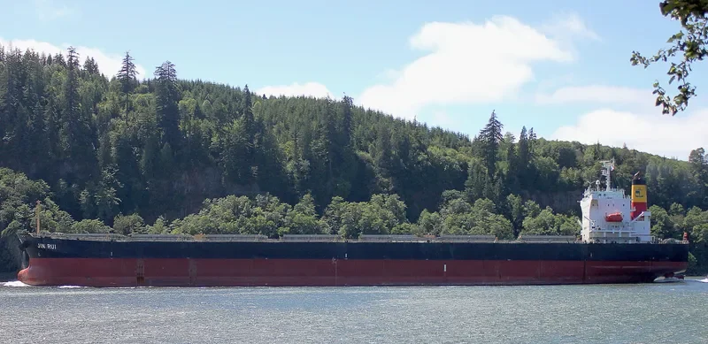 STORMHARBOUR Bulk Carrier IMO 9519157 photo 8