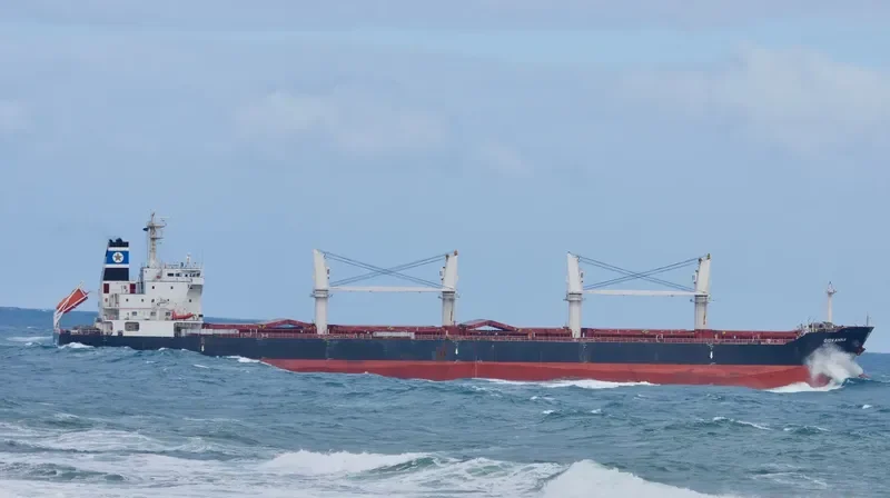 GIOVANNA Bulk Carrier IMO 9519171 photo 6
