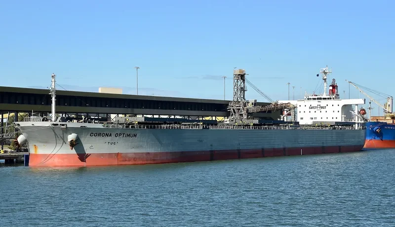 CORONA OPTIMUM Bulk Carrier IMO 9519183