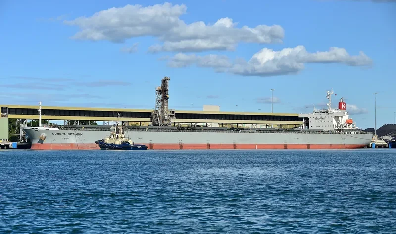 CORONA OPTIMUM Bulk Carrier IMO 9519183 photo 2