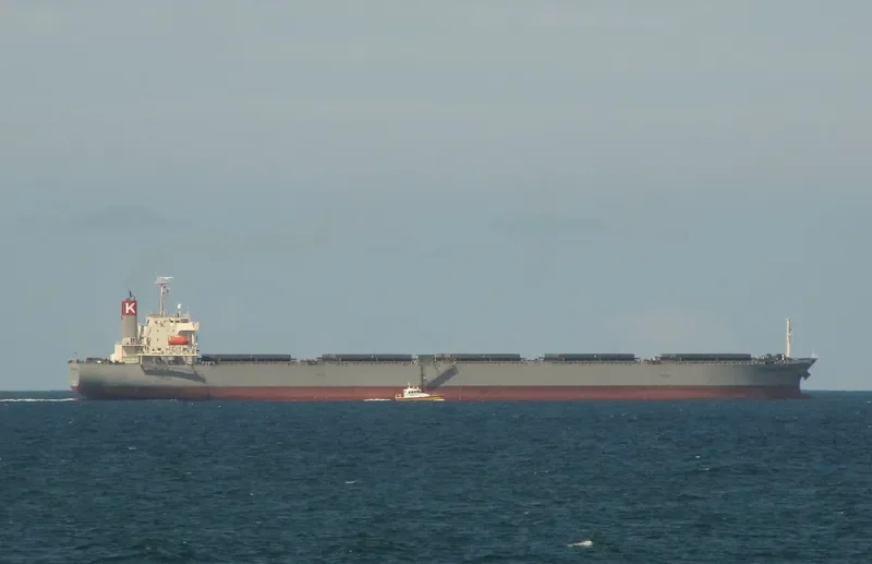 CORONA OPTIMUM Bulk Carrier IMO 9519183 photo 5