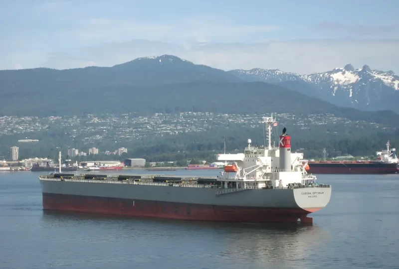 CORONA OPTIMUM Bulk Carrier IMO 9519183 photo 6