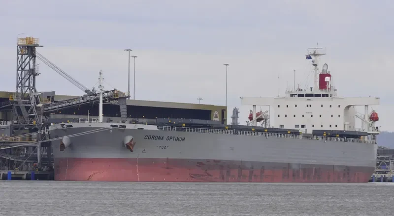 CORONA OPTIMUM Bulk Carrier IMO 9519183 photo 8