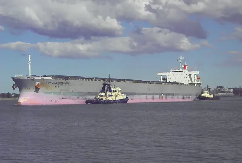 CORONA OPTIMUM Bulk Carrier IMO 9519183 photo 9