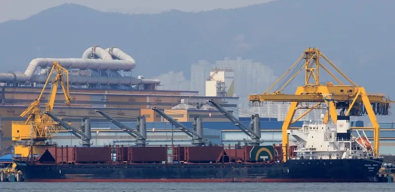 POAVOSA BRAVE Bulk Carrier IMO 9519195