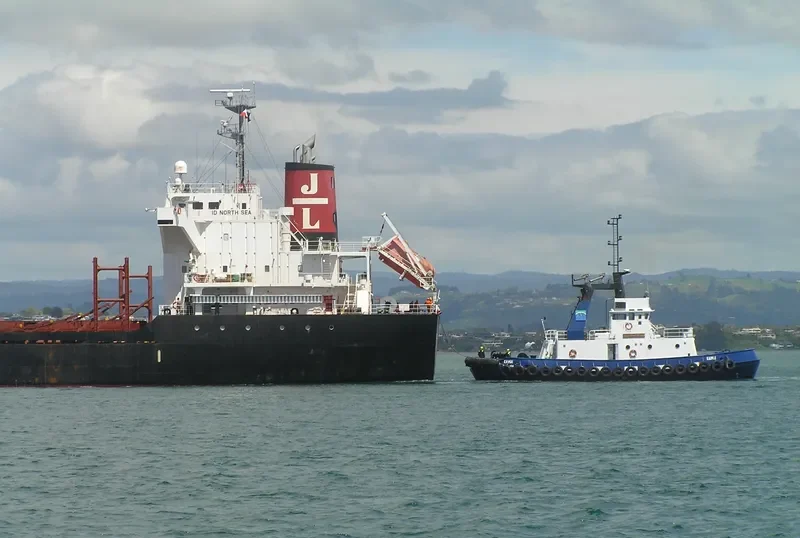 POAVOSA BRAVE Bulk Carrier IMO 9519195 photo 3