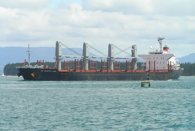 POAVOSA BRAVE Bulk Carrier IMO 9519195 photo 4