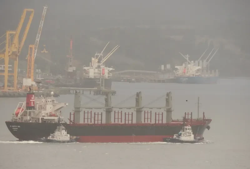 POAVOSA BRAVE Bulk Carrier IMO 9519195 photo 6