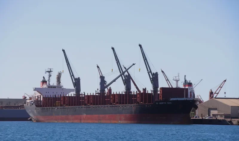 POAVOSA BRAVE Bulk Carrier IMO 9519195 photo 9