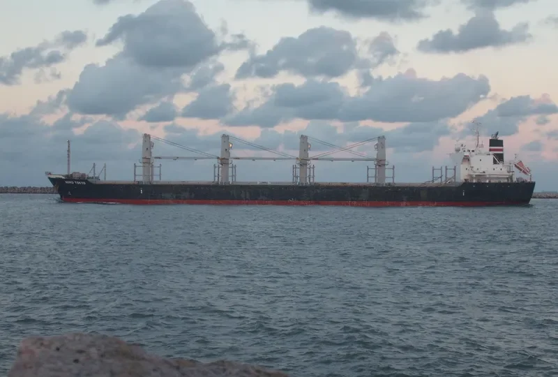CS FELICITY Bulk Carrier IMO 9519200 photo 7