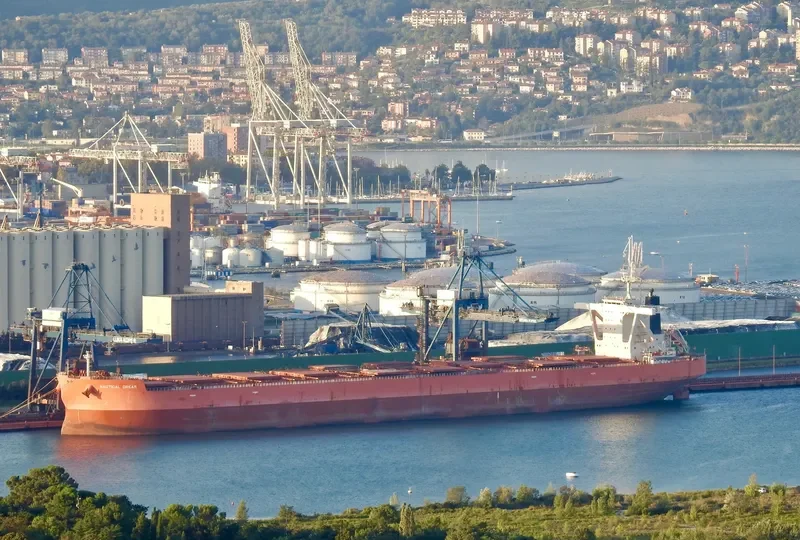 NAUTICAL DREAM Bulk Carrier IMO 9519365 photo 2