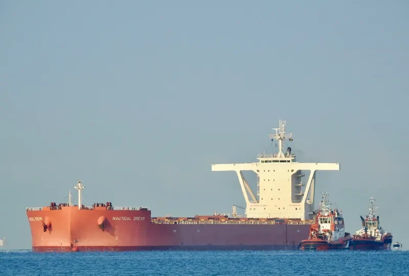 NAUTICAL DREAM Bulk Carrier IMO 9519365 photo 3