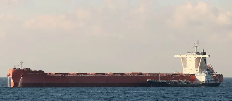 NAUTICAL DREAM Bulk Carrier IMO 9519365 photo 6