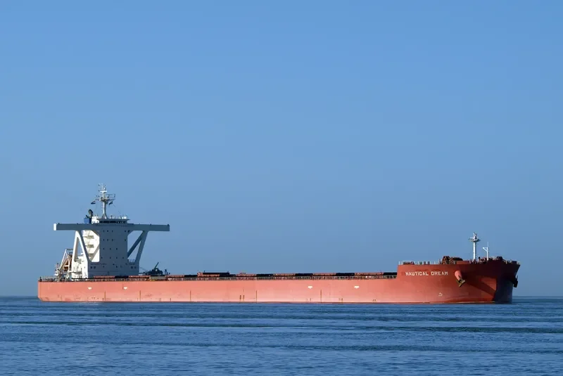 NAUTICAL DREAM Bulk Carrier IMO 9519365 photo 10