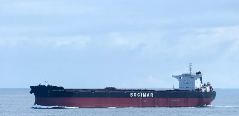 MINERAL NEW YORK Bulk Carrier IMO 9519767 photo 3