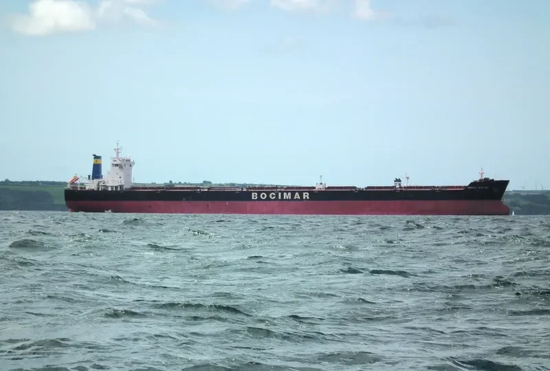 MINERAL NEW YORK Bulk Carrier IMO 9519767 photo 6