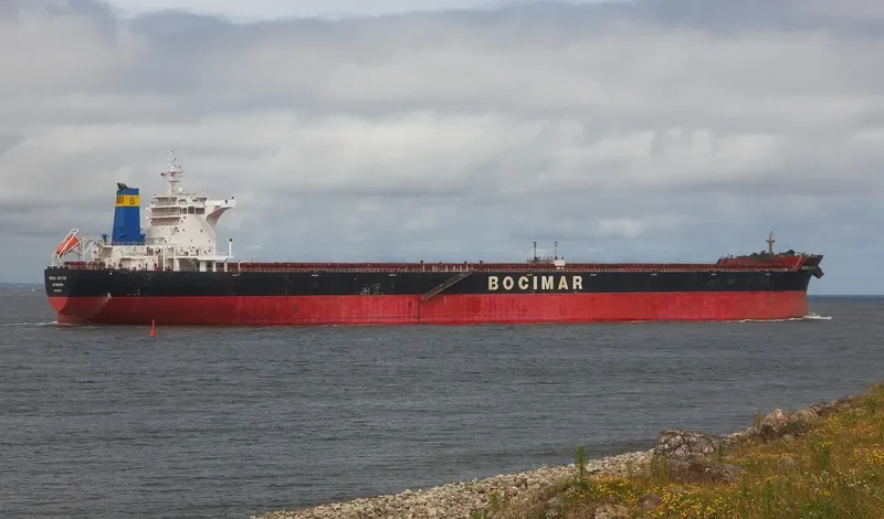 MINERAL NEW YORK Bulk Carrier IMO 9519767 photo 10