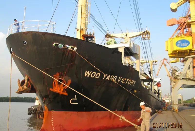 WOOYANG VICTORY General Cargo IMO 9520223 photo 4
