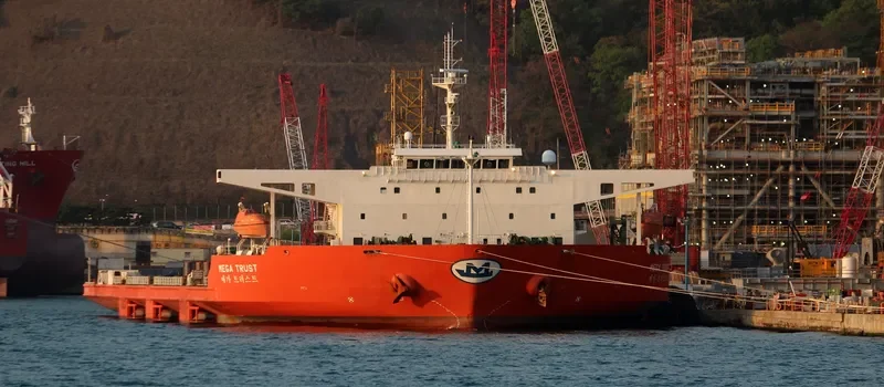 MEGA TRUST General Cargo IMO 9520352 photo 6