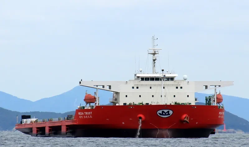 MEGA TRUST General Cargo IMO 9520352 photo 8