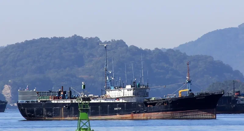ICEBERG General Cargo IMO 9520390 photo 5