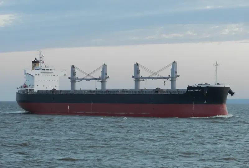MAINE DREAM Bulk Carrier IMO 9520601 photo 4