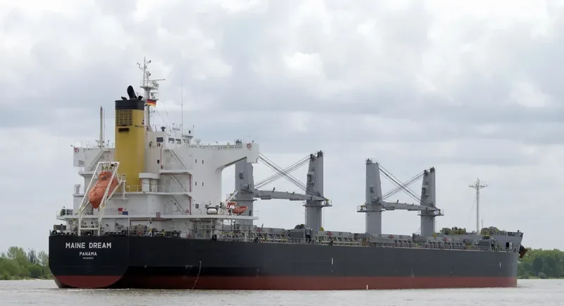 MAINE DREAM Bulk Carrier IMO 9520601 photo 7