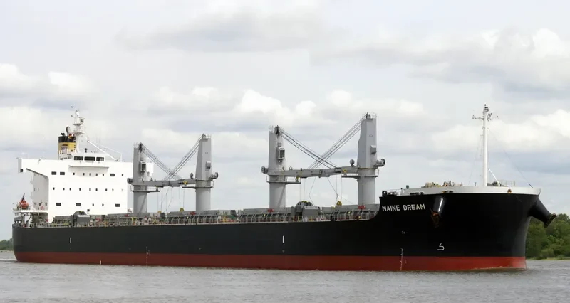 MAINE DREAM Bulk Carrier IMO 9520601 photo 8
