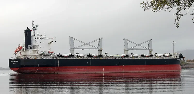 VALENTIA BLUE Bulk Carrier IMO 9520625
