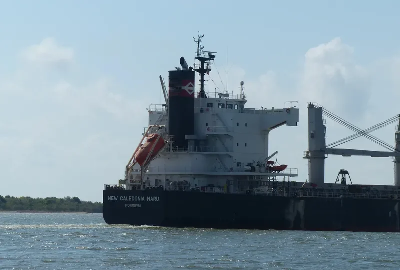 VALENTIA BLUE Bulk Carrier IMO 9520625 photo 5