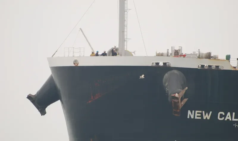 VALENTIA BLUE Bulk Carrier IMO 9520625 photo 7