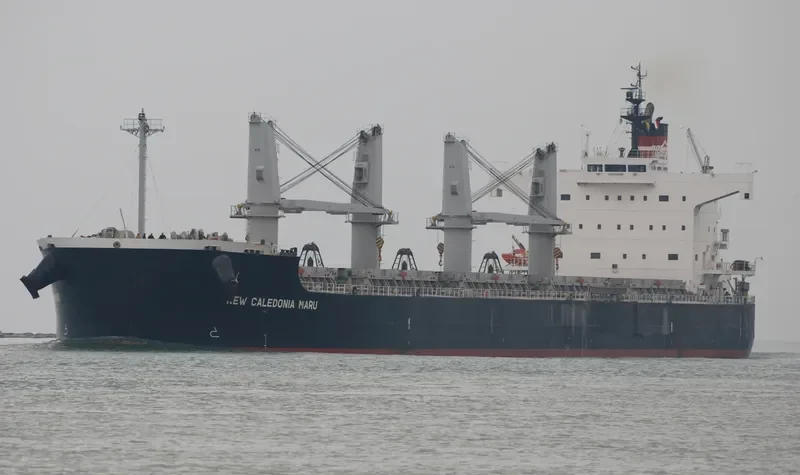 VALENTIA BLUE Bulk Carrier IMO 9520625 photo 8