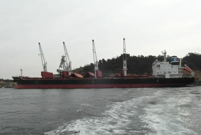 CAPETAN COSTIS Bulk Carrier IMO 9520637 photo 9