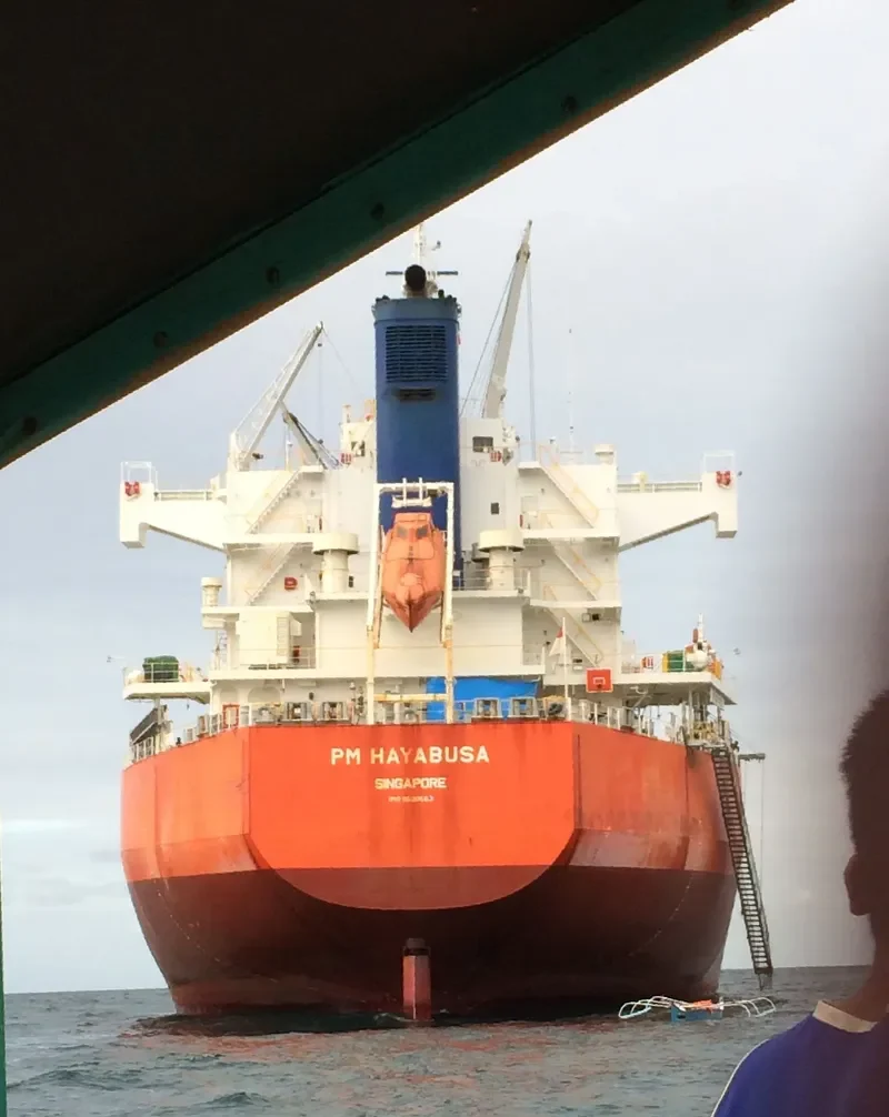 PM HAYABUSA Bulk Carrier IMO 9520663 photo 5