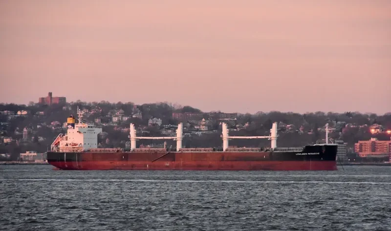LOWLANDS PATRASCHE Bulk Carrier IMO 9520675 photo 5