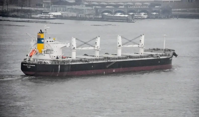 LOWLANDS PATRASCHE Bulk Carrier IMO 9520675 photo 6