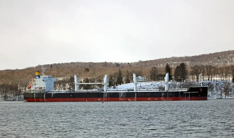LOWLANDS PATRASCHE Bulk Carrier IMO 9520675 photo 7