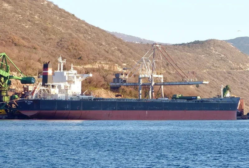 ESL DOLPHIN Bulk Carrier IMO 9520716 photo 2