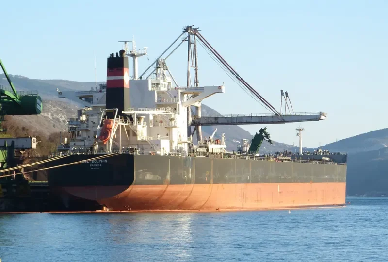ESL DOLPHIN Bulk Carrier IMO 9520716 photo 3